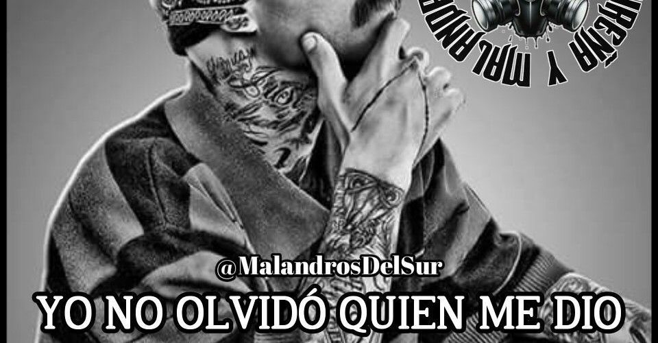 Frases De Cholos Y Su Significado