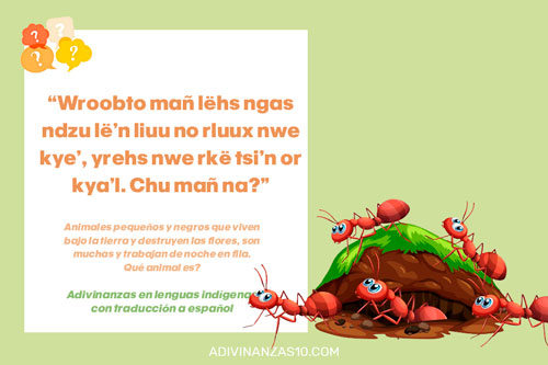 Adivinanzas en lengua nahuatl y español: descubre la sabiduría
