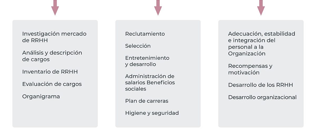 Descubre cómo realizar un inventario de capital humano: Ejemplo de una
