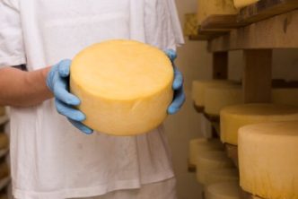 encontrar los mejores quesos