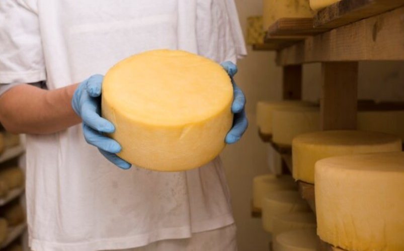 encontrar los mejores quesos