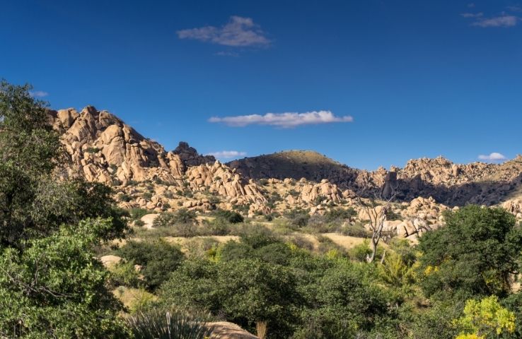 Cual Es La Vegetacion De Oasisamerica tmagazine.es