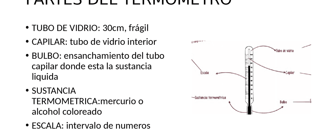 Todo lo que necesitas saber sobre las partes de un termómetro: guía