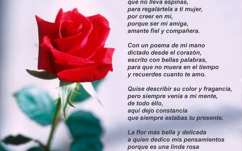 Versos en flor: Un poema para enamorar a una flor - TMagazine - líder ...