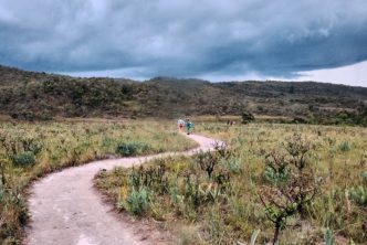 Camino de Santiago Francés