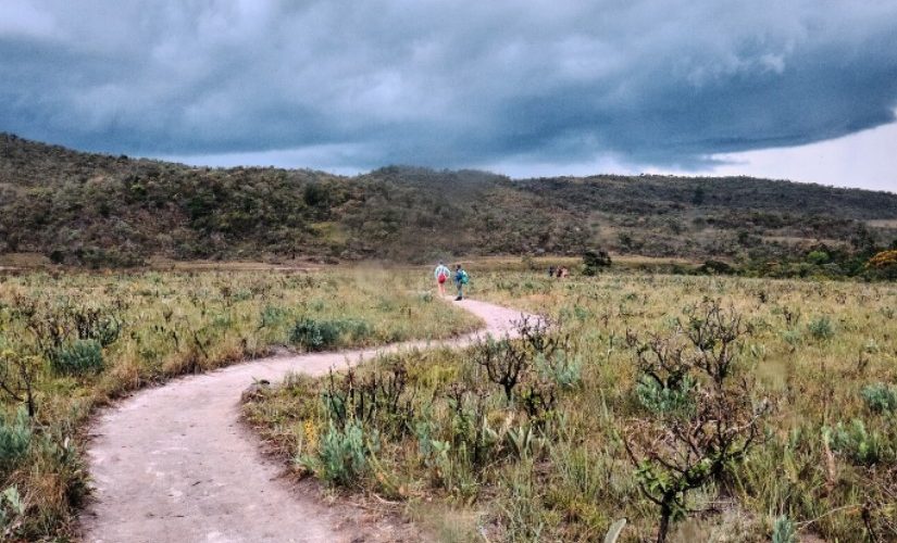 Camino de Santiago Francés