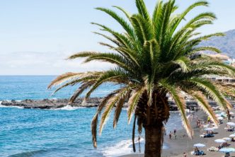 MallorcaFreeTour