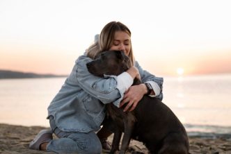 síndrome vestibular en perros