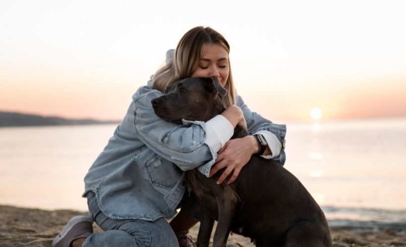 síndrome vestibular en perros