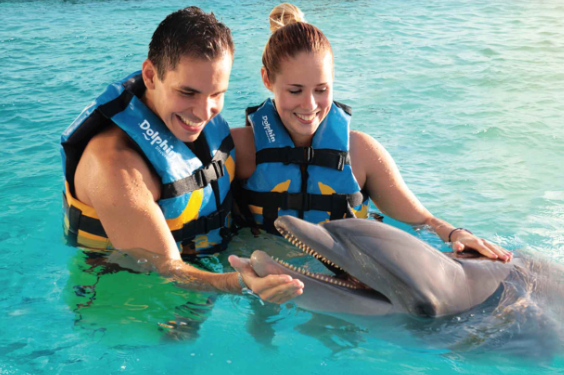 nado con delfines