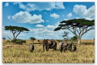 safari de 15 días en Kenia