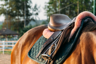 recursos de equitación